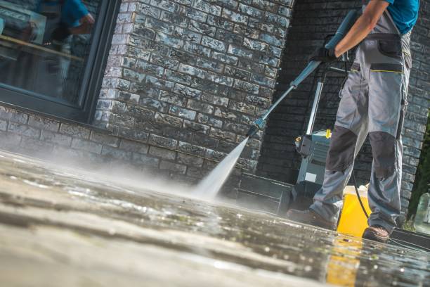 Best Animal Enclosure Cleaning  in University At Buffalo, NY